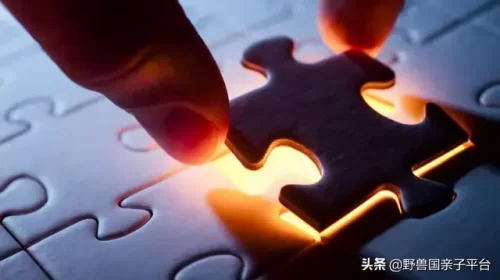 卡片拼图厂家排名前十(最著名的拼图品牌)插图7