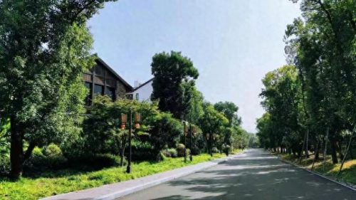 青田平价酒店排名前十(高口碑平价酒店推荐)插图16