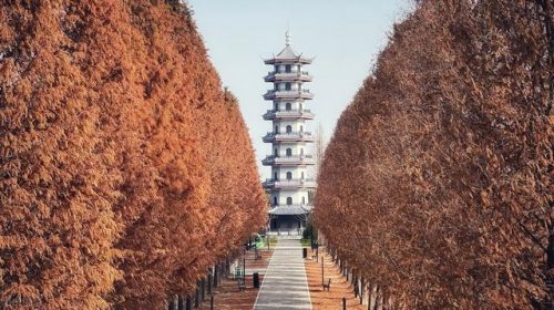 国内重要水域排名前十(中国河流排名前50)插图
