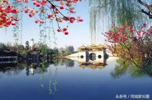 扬州排名前十位(世界面积排名前十名)插图4