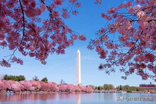 华盛顿德国餐厅排名前十(德国赫柏仕啤酒餐厅)插图13