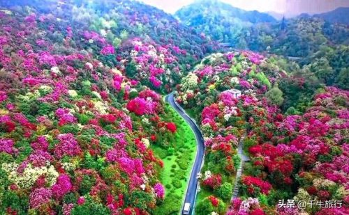 贵州最美风景排名前十(贵州十大魅力景区)插图8
