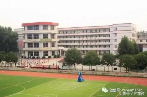 西安小学教科书排名前十(西安买学生用书在哪买)插图3