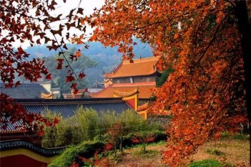 全国最美月份排名前十(2018年全国1)插图48