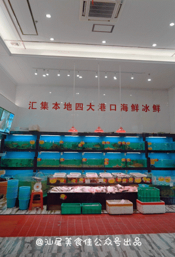 海丰本地饭店排名前十(海丰县排名前十的好吃餐厅)插图15