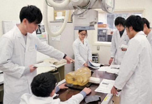 日本滑冰学校排名前十(日本高中滑冰)插图5