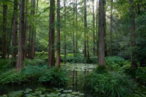 水道漂流厂家排名前十(惠州十大漂流排名)插图