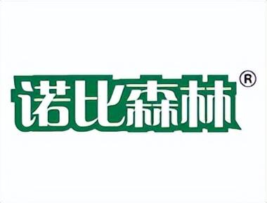 装修公司衣柜排名前十(装修衣柜哪家好)插图10