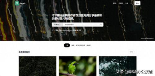 尺寸查询网站排名前十(风水尺寸在线查询)插图2