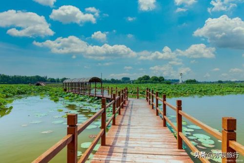 岳阳佛教景点排名前十(岳阳有哪些旅游景点)插图12