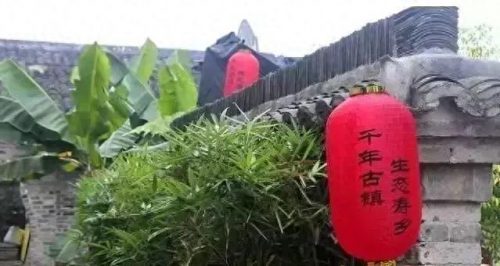 梧州乡村景区排名前十(梧州的景区排名)插图8