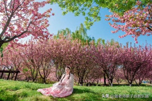 西安小吃景区排名前十(西安小吃甄糕)插图76