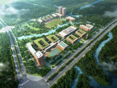 东莞外贸小学排名前十(大朗公办小学排名)插图5