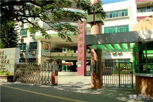 深圳养蚕企业排名前十(浙江养蚕基地)插图4