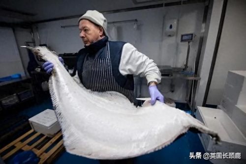 伦敦海鲜网店排名前十(英国海鲜市场排名)插图46