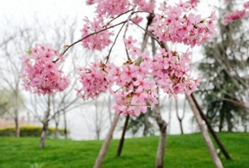 荆州烧烤景点排名前十(荆州公园景点大全)插图5