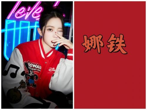 明星粉丝应援排名前十(明星应援口号)插图15