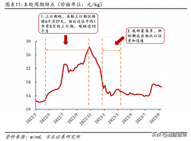 湖南仔猪产地排名前十(辽宁朝阳仔猪产地)插图10