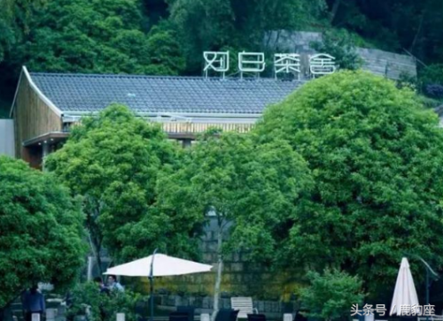 杭州国营茶室排名前十(杭州带茶室餐饮大包厢)插图6
