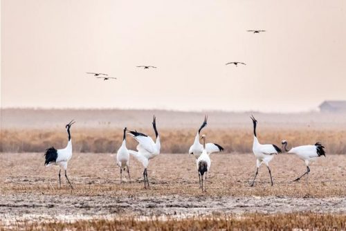 国内重要水域排名前十(中国河流排名前50)插图29