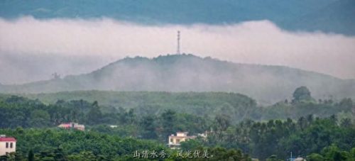 海南洗眼企业排名前十(海南日化企业排名)插图12