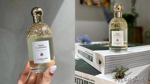 好玩的香水排名前十(男生十款香水排名)插图5