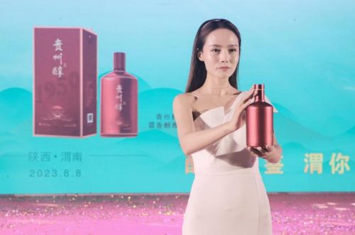 贵州砝码工厂排名前十(贵州有什么好工厂)插图8