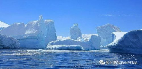 新西兰潜水公司排名前十(世界顶级潜水品牌)插图13
