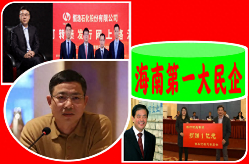 儋州重大企业排名前十(儋州龙头公司)插图