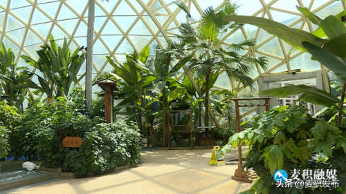 麦积山温泉酒店排名前十(麦积山温泉旅游酒店)插图2