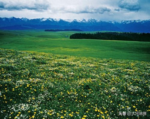 新疆最美河谷排名前十(新疆最美十大风景区)插图4
