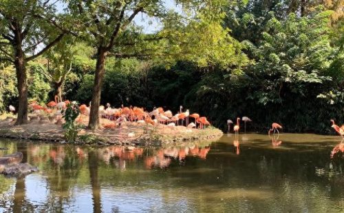 上海溜达景点排名前十(上海景点十大排名榜)插图31