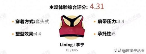牌子内衣测评排名前十(内衣洗衣液排名第一名)插图28