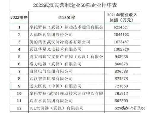 武汉工厂价值排名前十(武汉的长白班工厂排名)插图3