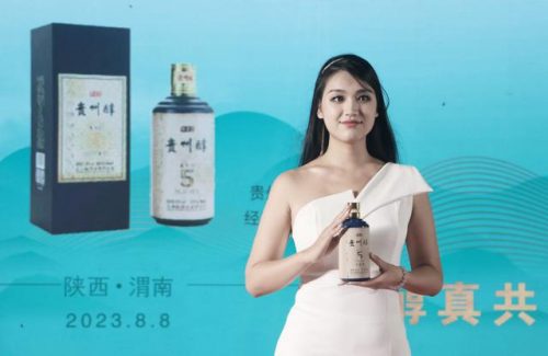 贵州砝码工厂排名前十(贵州有什么好工厂)插图12