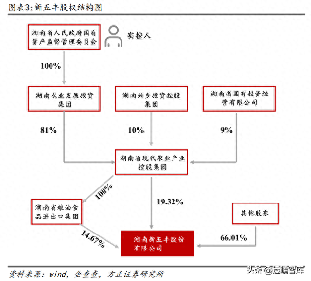 湖南仔猪产地排名前十(辽宁朝阳仔猪产地)插图3