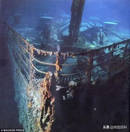 最贵游戏金币排名前十(世界十大金币)插图4