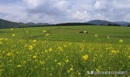 沽源民宿排名前十(沽源唯一民宿)插图11