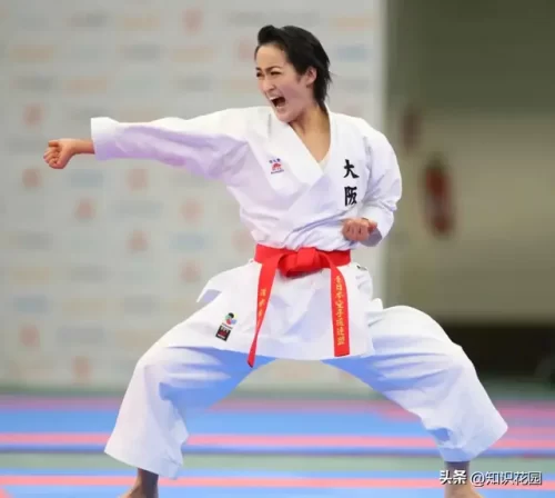 世界武术比武排名前十(全球武术排名)插图5