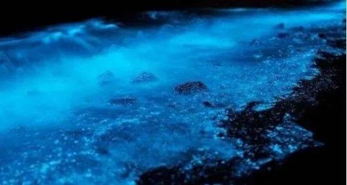 全球沙滩夜景排名前十(中国十大夜景城市)插图9
