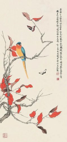 鹦鹉荔枝品种排名前十(最聪明的鹦鹉排名)插图14