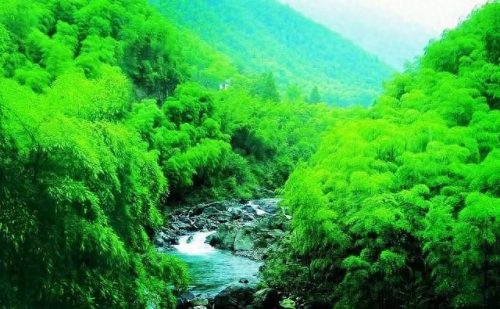 宁波郊游景区排名前十(宁波景区封闭通知)插图1