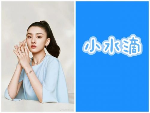 明星粉丝应援排名前十(明星应援口号)插图12