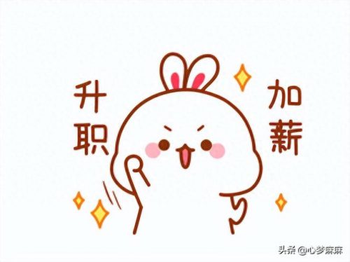 导购招聘机构排名前十(猫媛内衣招聘导购)插图
