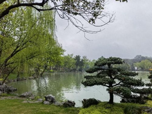 扬州宴会大师排名前十(扬州十大名厨排名)插图2