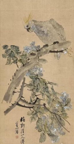 鹦鹉荔枝品种排名前十(最聪明的鹦鹉排名)插图5