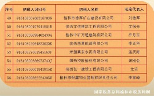 榆林企业税收排名前十(咸宁企业纳税排行)插图4