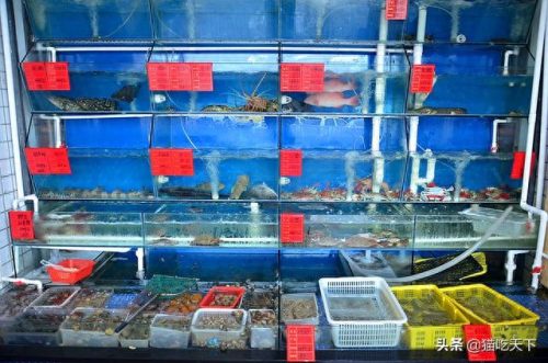 惠安海鲜饭店排名前十(惠安高档海鲜)插图5