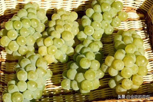 优质葡萄评奖排名前十(百元葡萄排行榜前十名)插图9