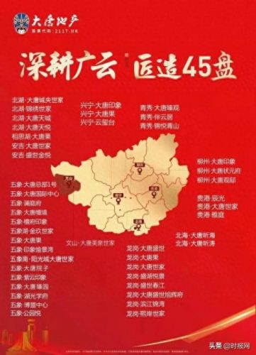 广西十强地产排名前十(广西十大本土房企)插图3